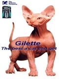 Reclama La Gilette