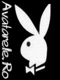 Playboy Romania