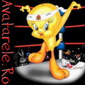 Poze Tweety