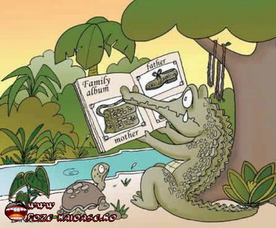 Poze Cu Crocodili