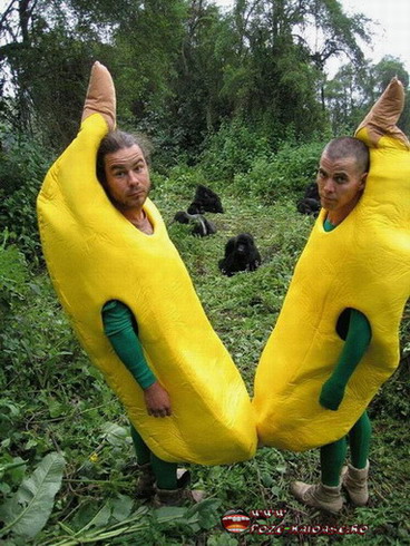 Bananele In Africa